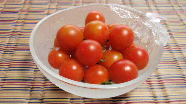 プチトマト収穫