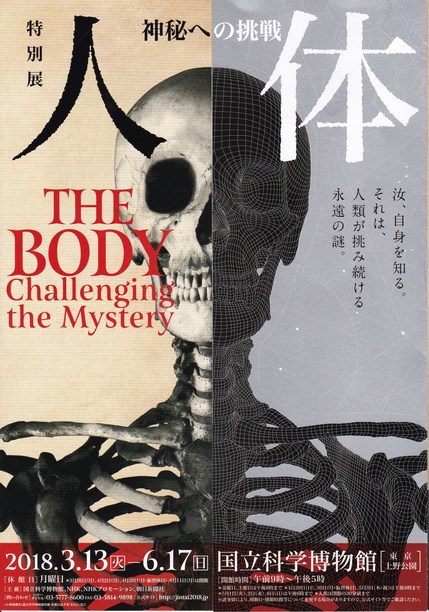 特別展「人体」